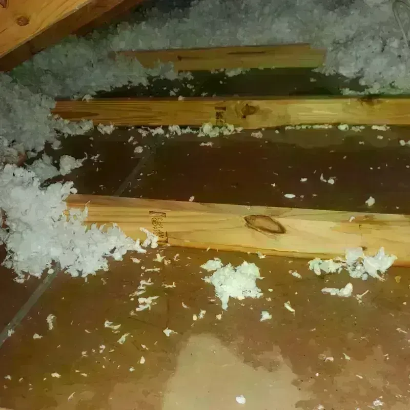 Attic Water Damage in Wade, MS