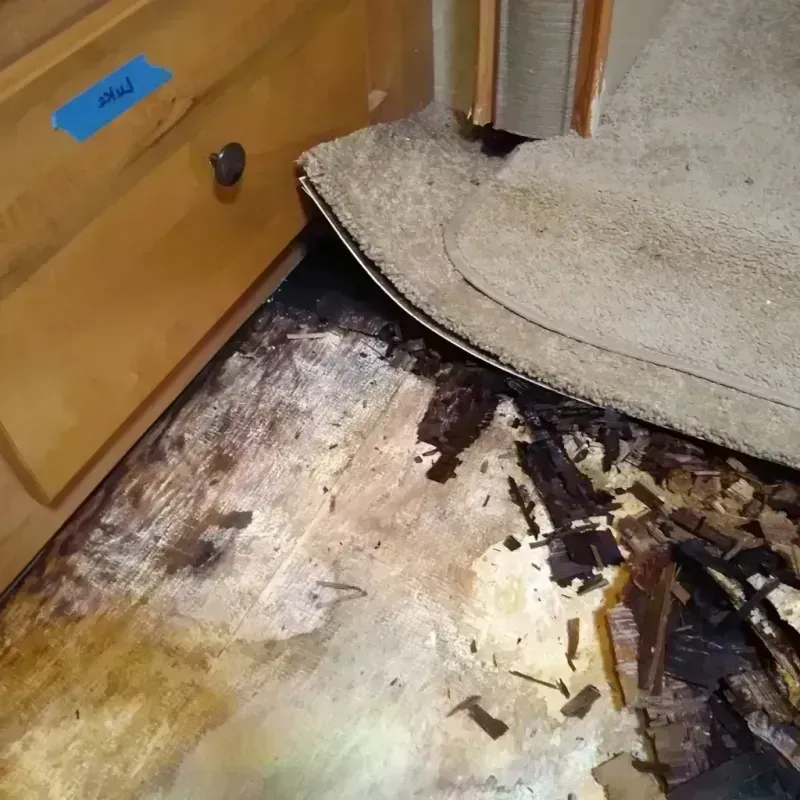 Wood Floor Water Damage in Wade, MS